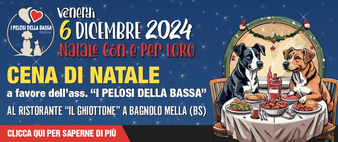 Cena di Natale 2024