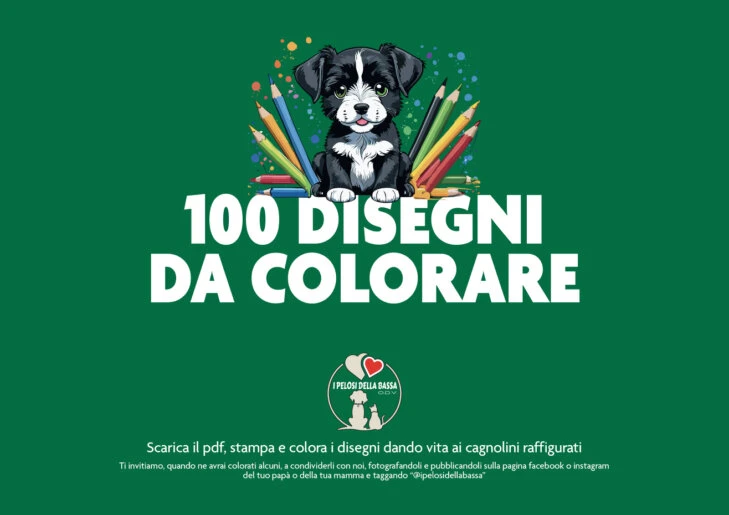 100 disegni da colorare