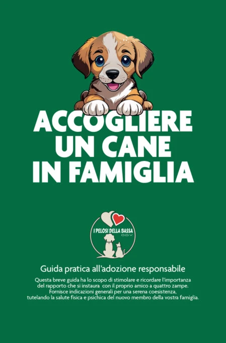 Accogliere un cane in famiglia